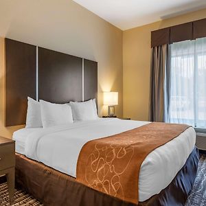 King Suite Mobility accessible